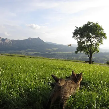 Gesundheitshof Lohninger בית חווה *