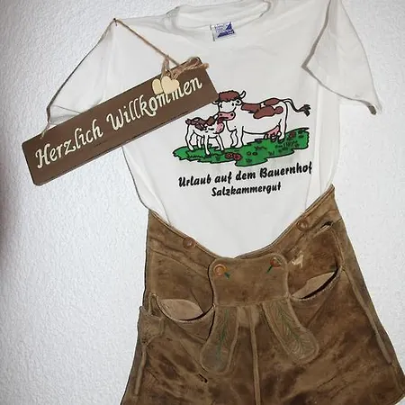 Gesundheitshof Lohninger Farm stay *