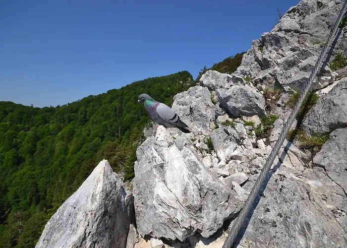 Gesundheitshof Lohninger