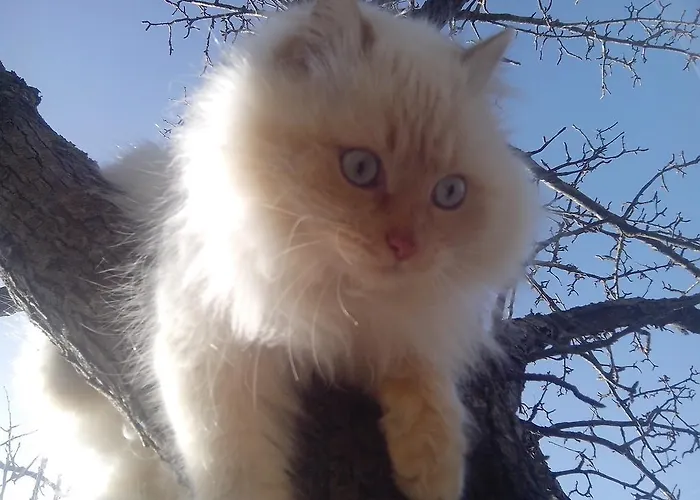 Gesundheitshof Lohninger