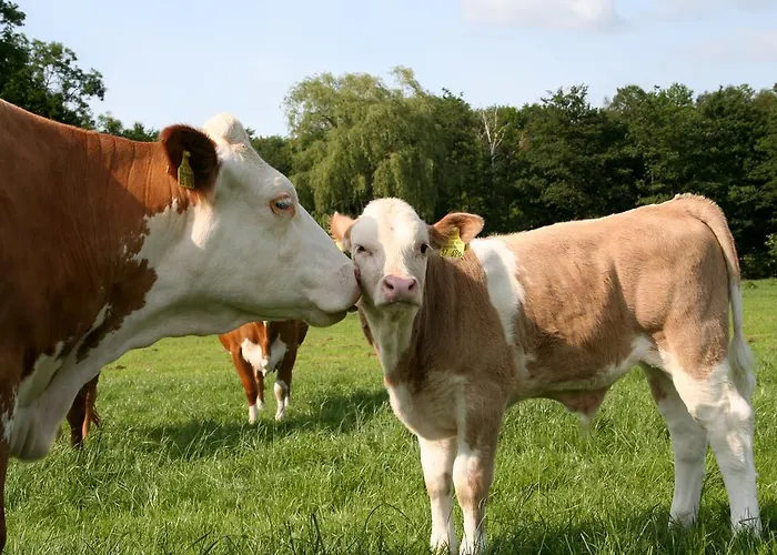 Gesundheitshof Lohninger Lantgård