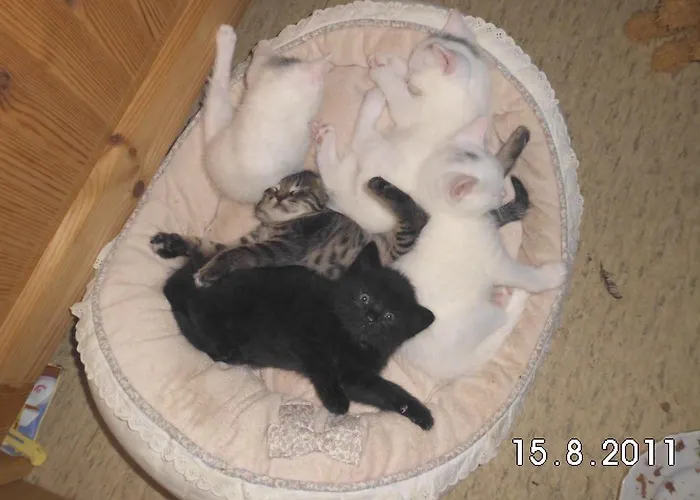 Gesundheitshof Lohninger Lantgård Mondsee