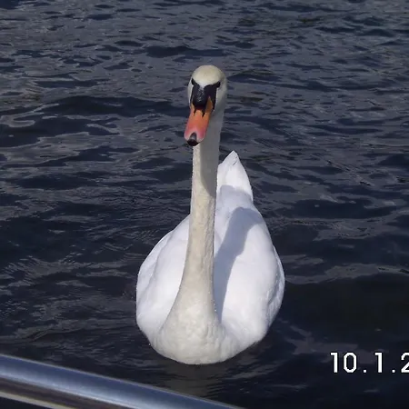 Gesundheitshof Lohninger *