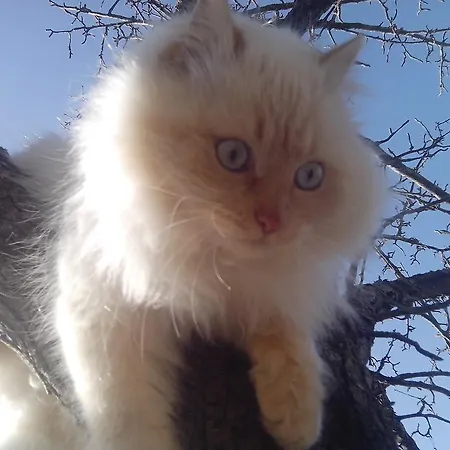 Gesundheitshof Lohninger