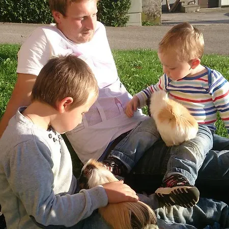 Gesundheitshof Lohninger בית חווה מונדסי