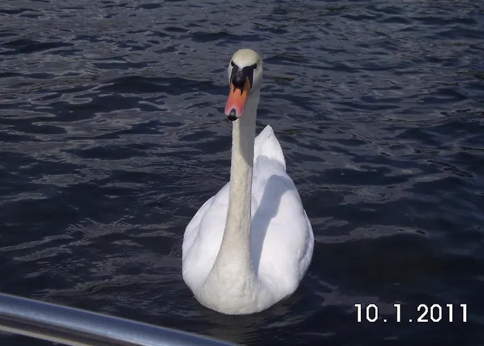 Gesundheitshof Lohninger *