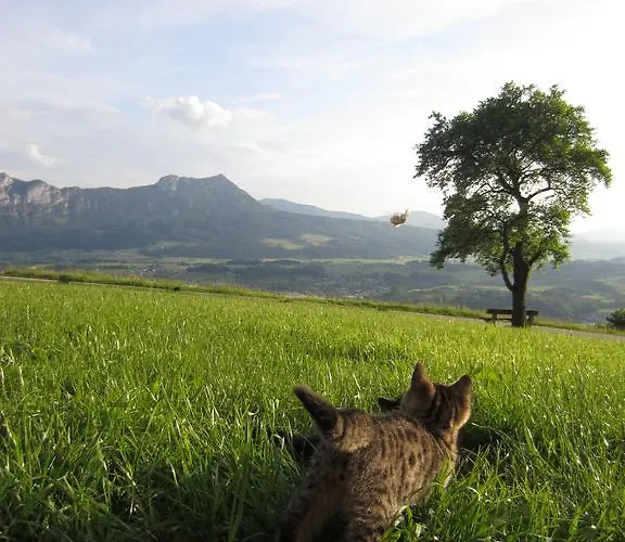 Gesundheitshof Lohninger Feriegård *